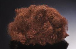 һ�w����վ